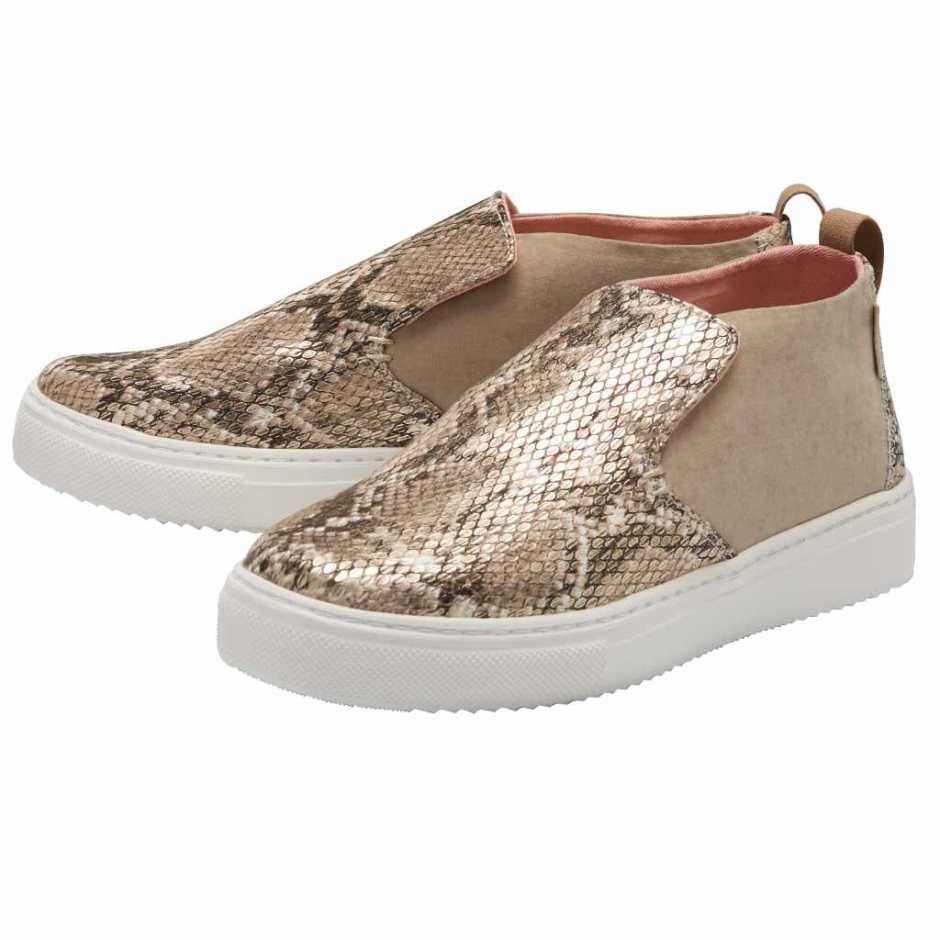 Hey Dude Peyton Slang Bruin