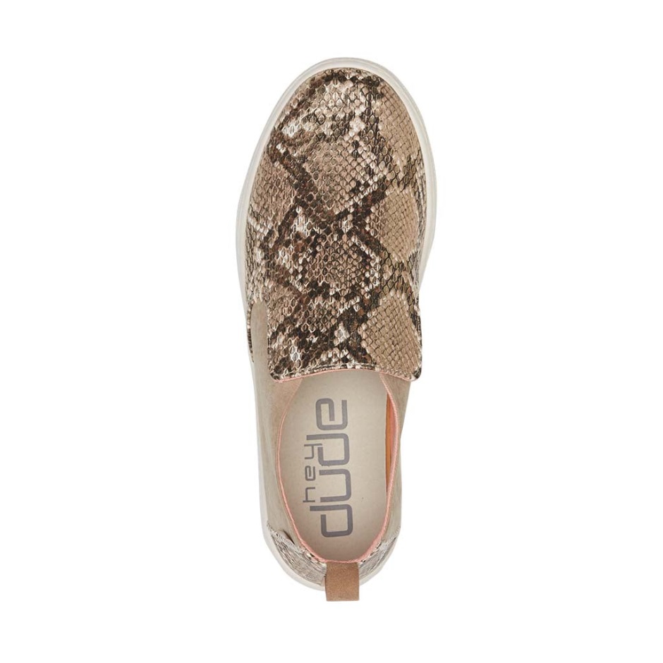 Hey Dude Peyton Slang Bruin